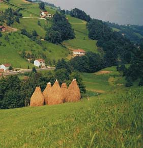 VARAS_LLERVA_CASPIO