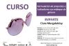 CARTEL `Formulacin de proyectos e indicadores con enfoque de gnero`