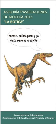 imagen del flyer Asesora Subvenciones 2012