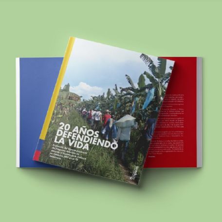 El estudio cuenta con tres partes principales. En primer lugar, se introduce a nivel histrico-terico la situacin actual del conflicto colombiano, en qu consiste la defensa de los DDHH y cules son los principales riesgos a los que se enfrentan las per