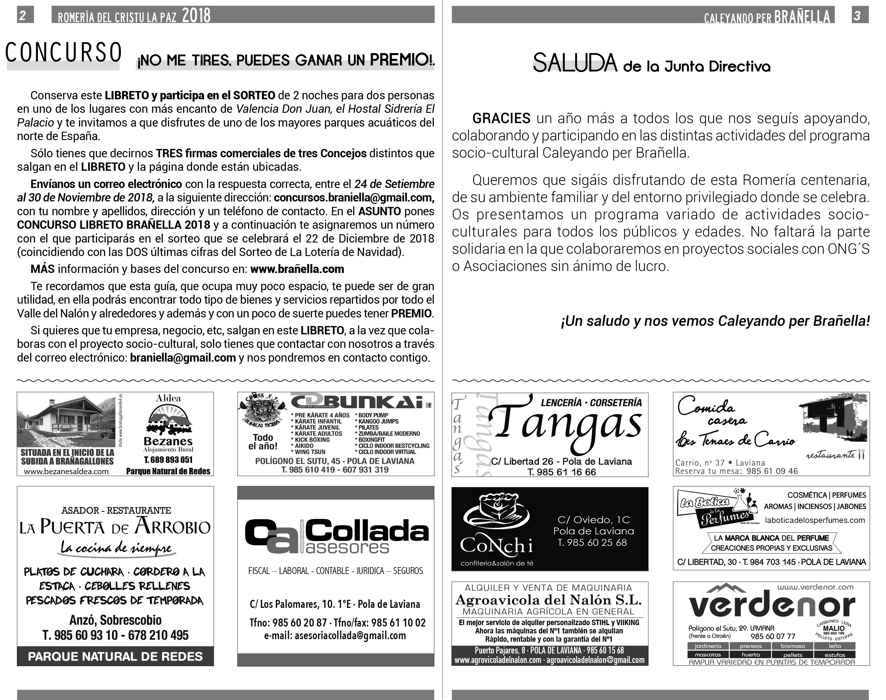 Paginas 2 y 3