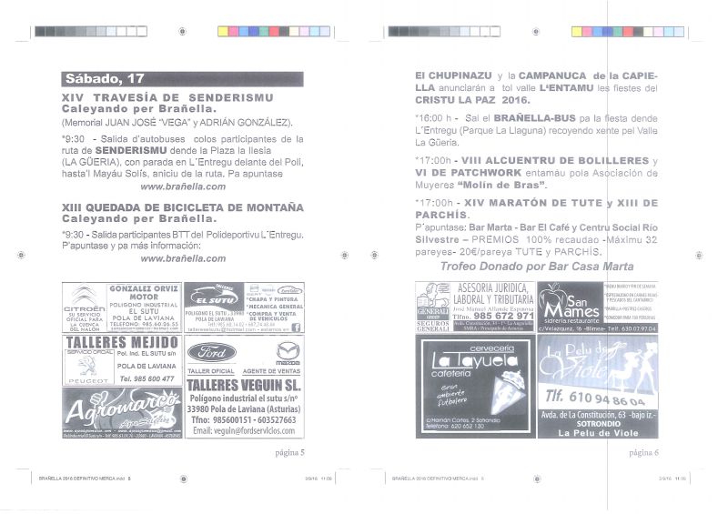 Paginas 5 y 6