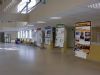 Exposiciones en Viesques