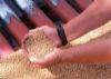 Fotograma del documental El Mundo segn Monsanto
