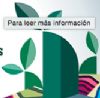 icono Jornada sobre Educación Ambiental en Llanes del CMX